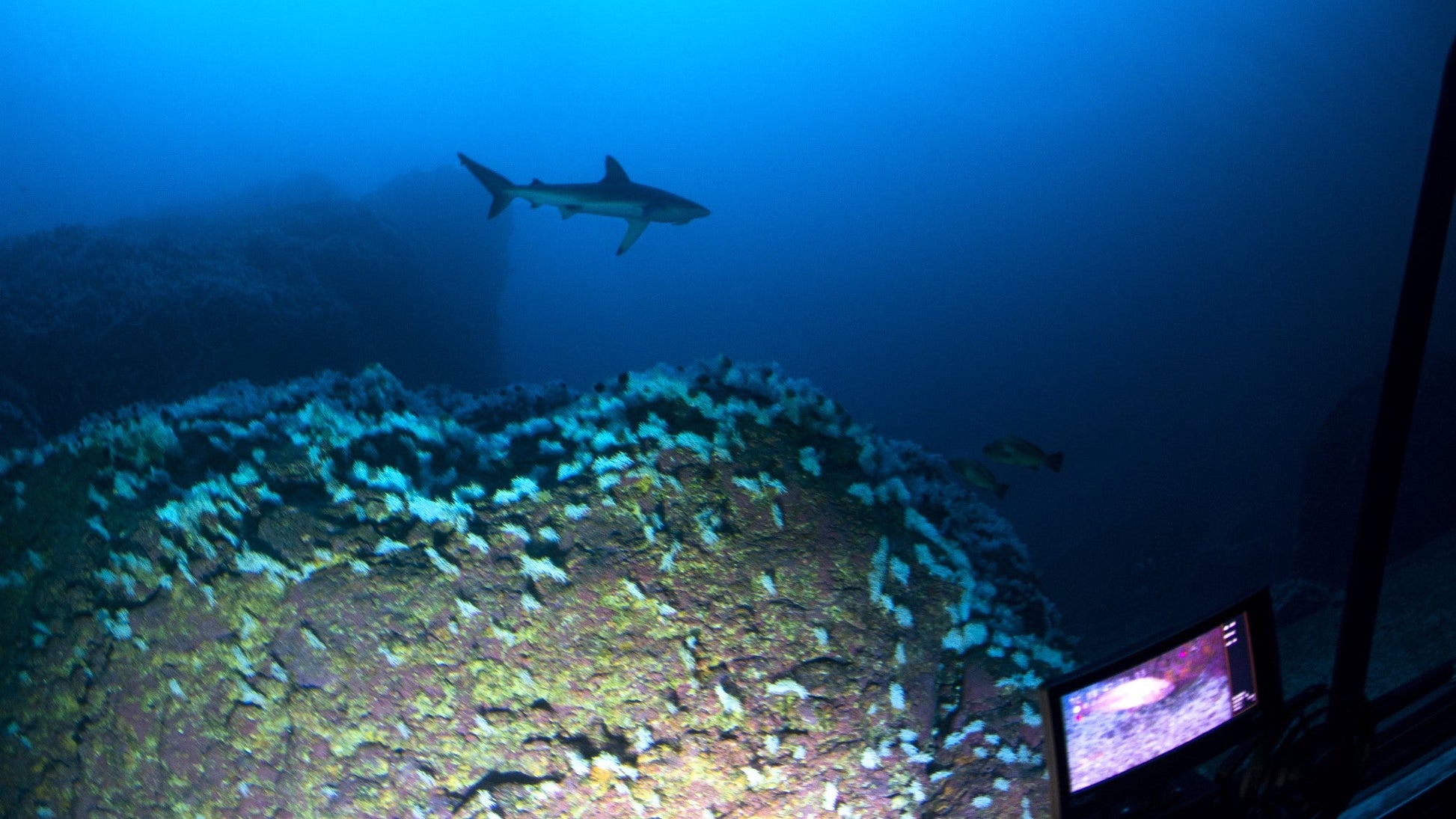 Aurora 6S - TheArsenale