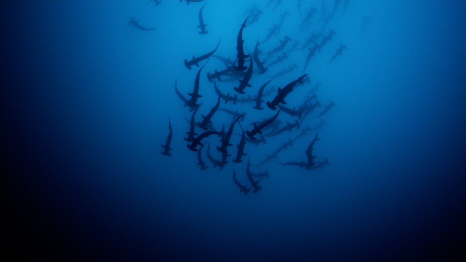 Aurora 6S - TheArsenale