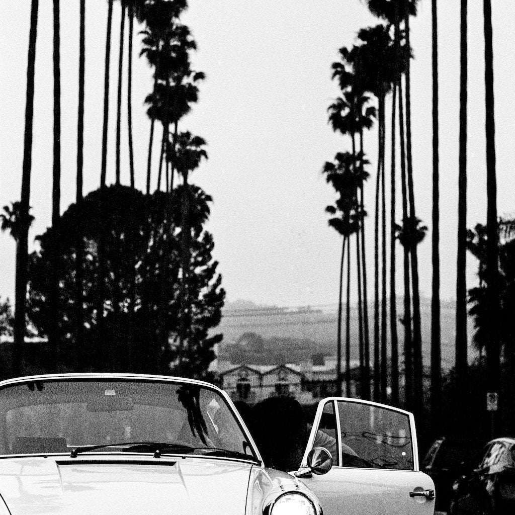 FA02 - 912 Palmtrees - TheArsenale
