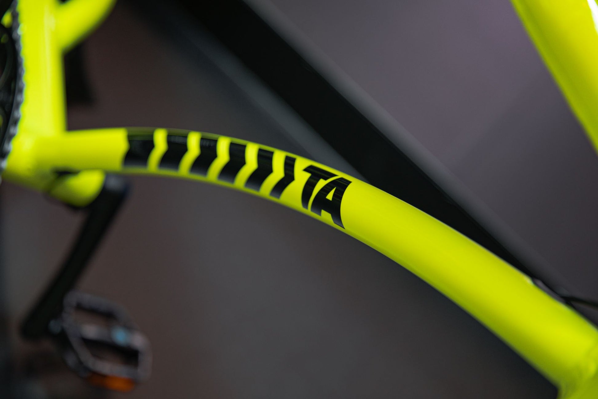 Rayvolt Ringo TheArsenale Edition - TheArsenale