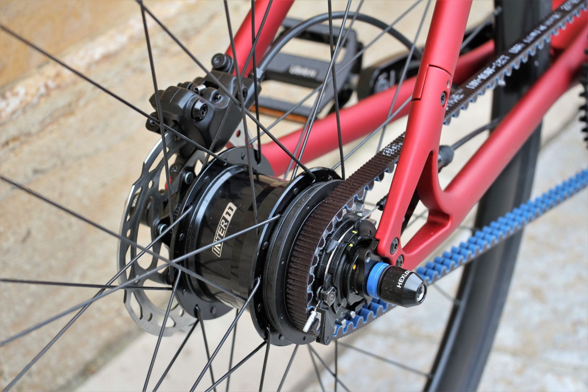 Stadtfuchs Oxid - TheArsenale