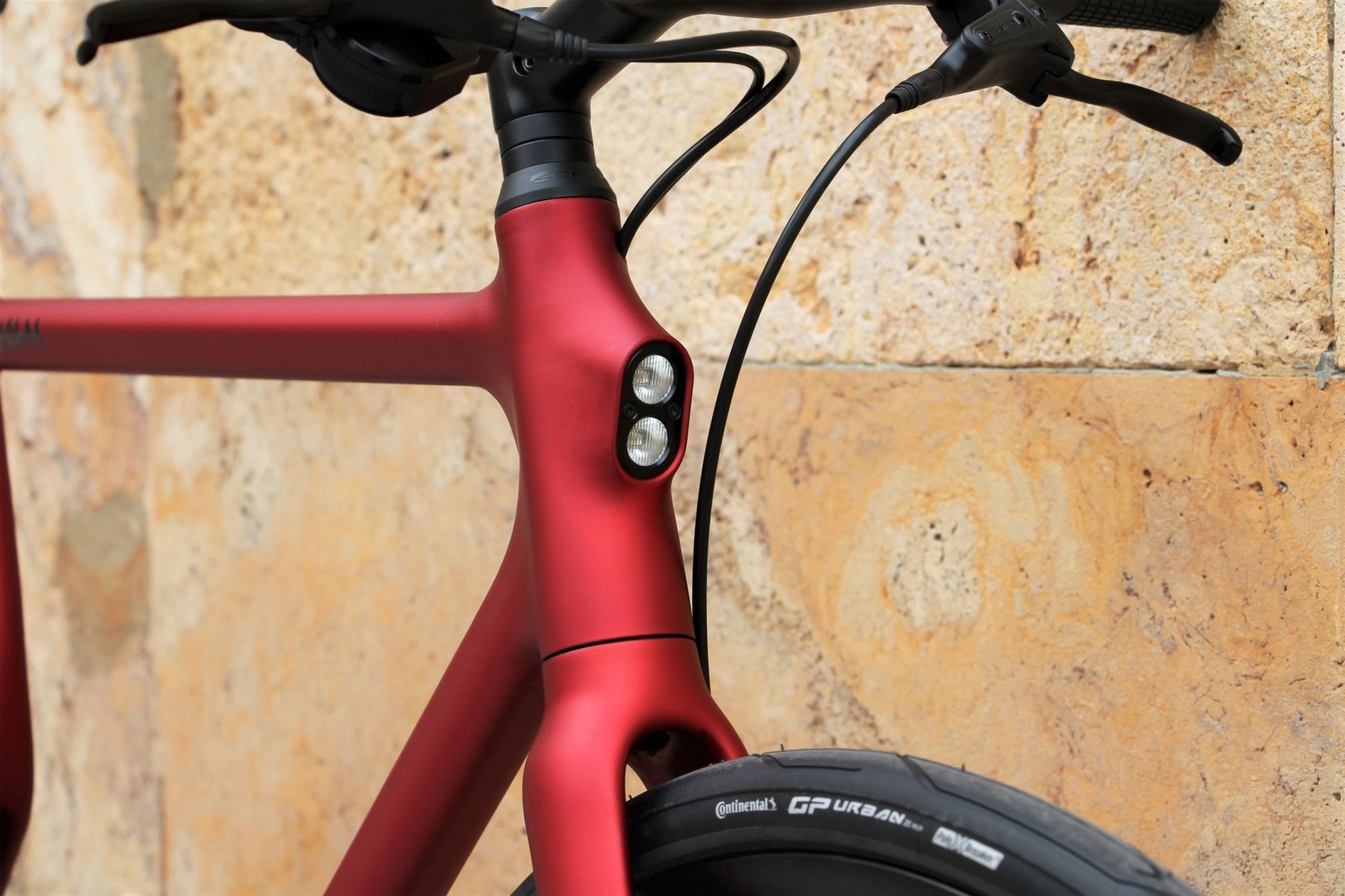 Stadtfuchs Oxid - TheArsenale