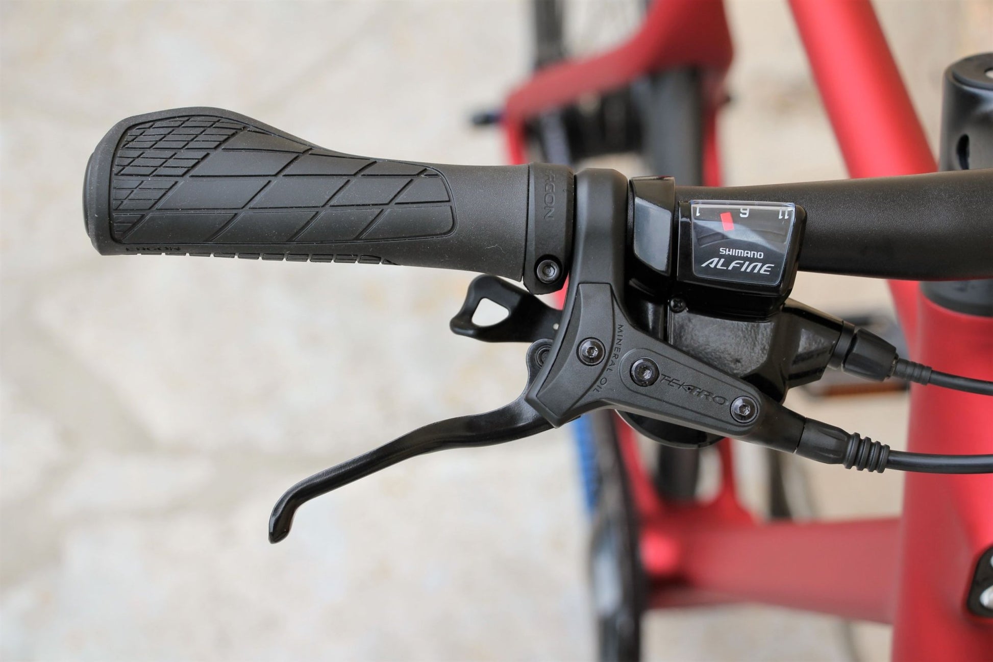 Stadtfuchs Oxid - TheArsenale