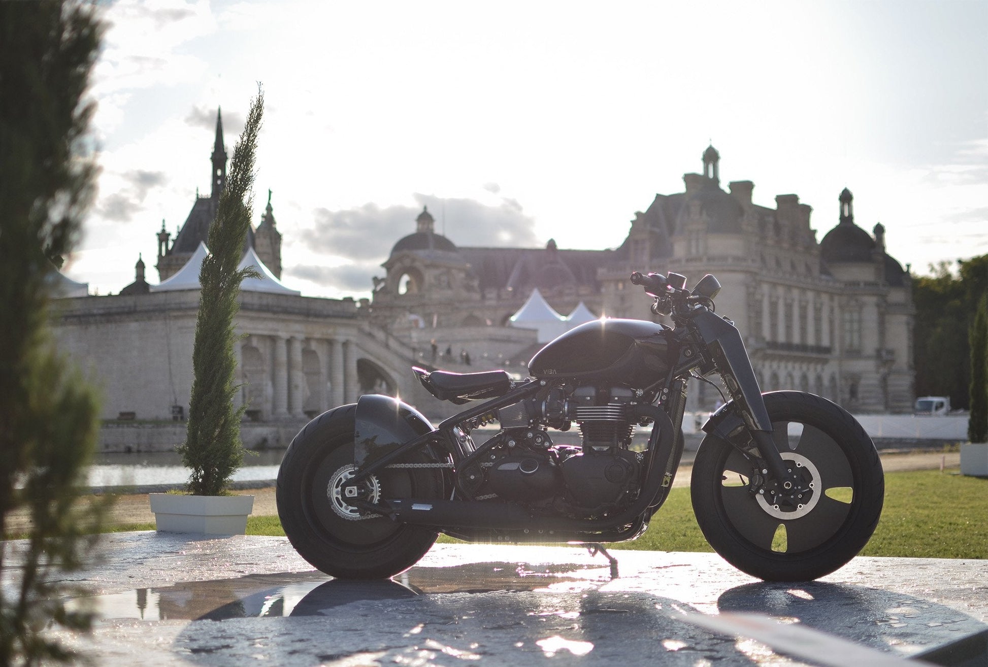 VIBA Qora - TheArsenale