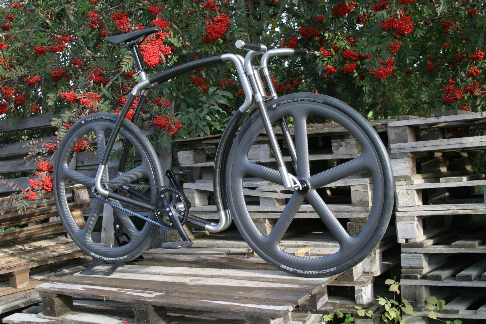 Viks Carbon - TheArsenale