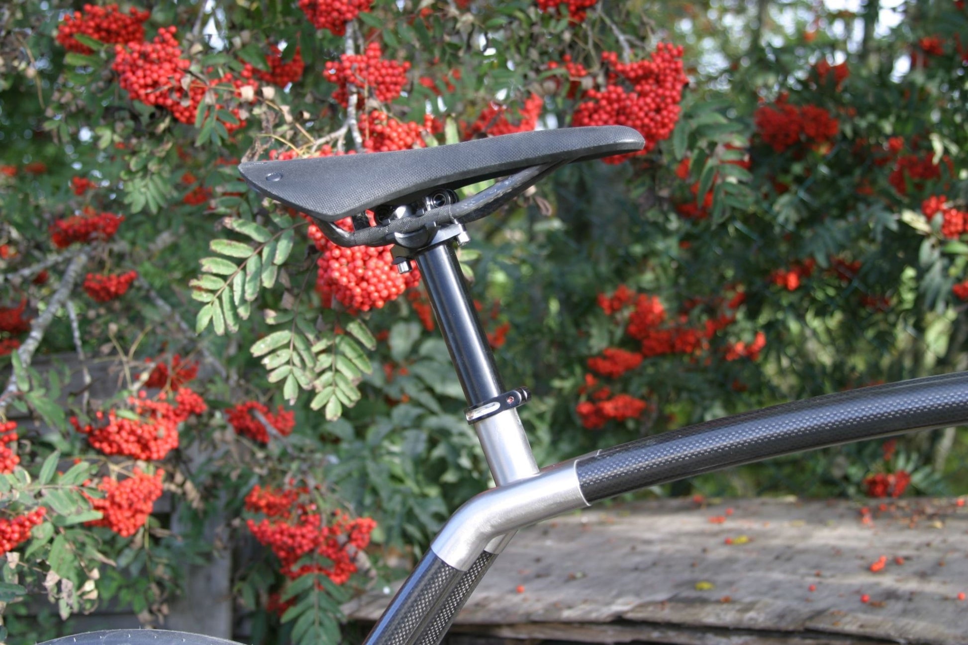 Viks Carbon - TheArsenale