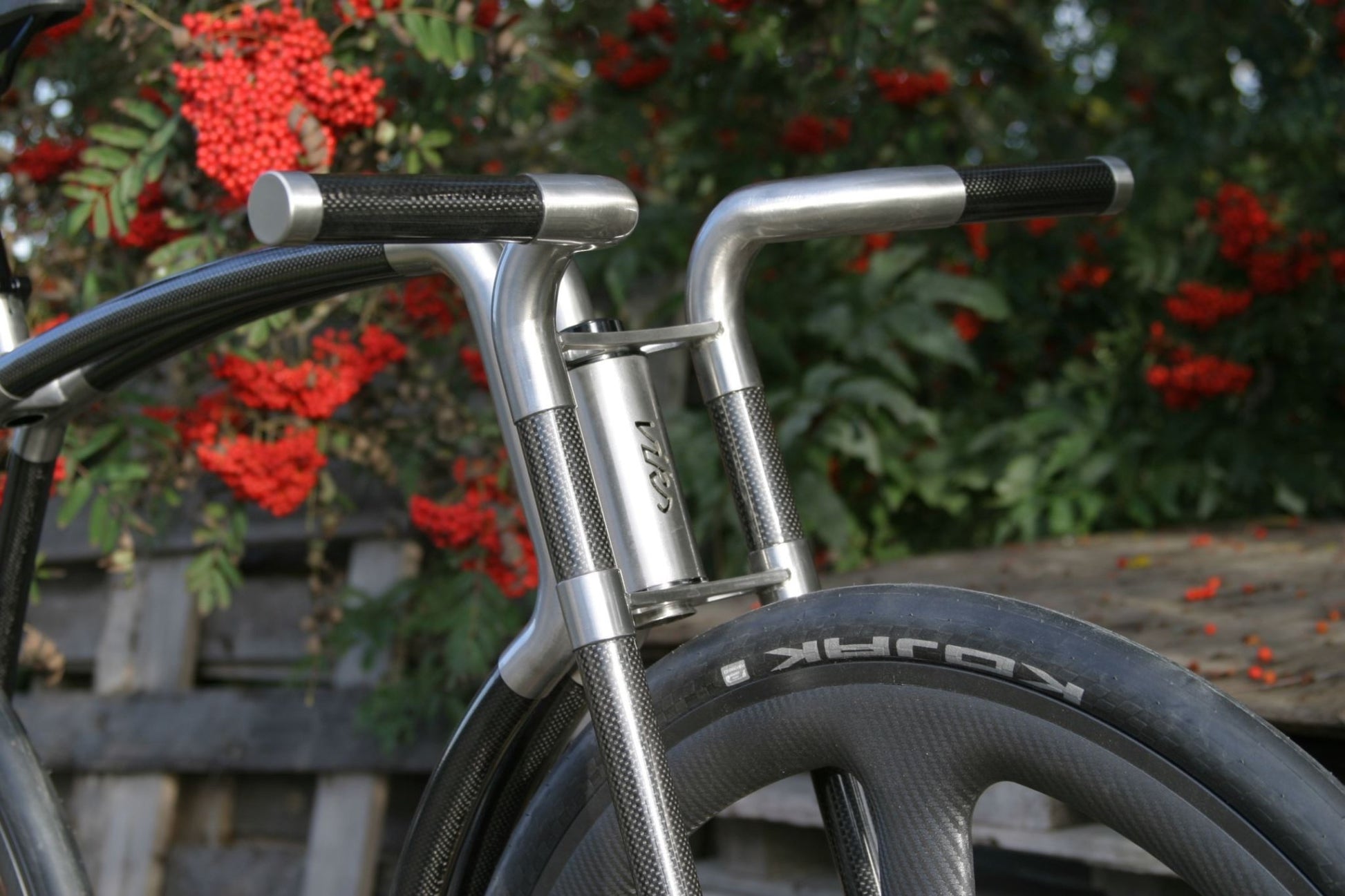 Viks Carbon - TheArsenale